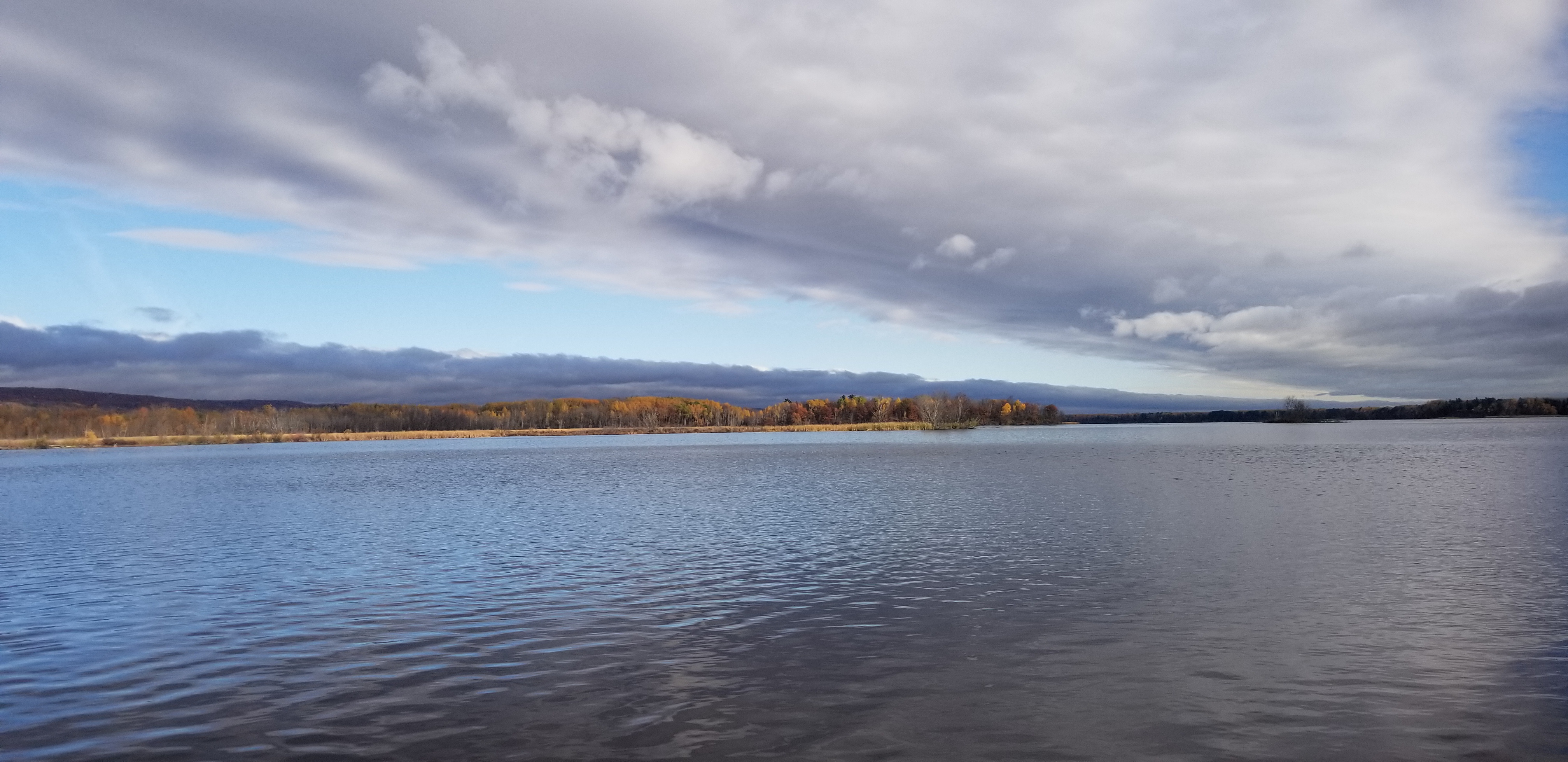 Estuary Landscape